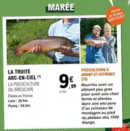 E.Leclerc LA PISCICULTURE DU BREUCHIN La truite arc-en-ciel offre