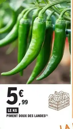 E.Leclerc Piment doux des landes offre