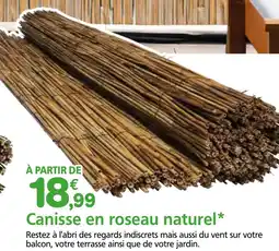 Provence Outillage Canisse en roseau naturel offre
