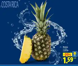 Lidl Ananas offre
