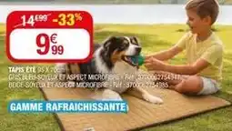 La Foir'Fouille Tapis eté offre