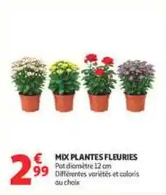 Auchan Supermarché Mix - plantes fleuries offre