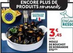 U Express Moule de bouchot de normandie offre