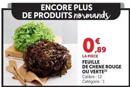 U Express Chêne - feuille de chene rouge ou verte offre