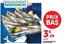 U Express Sardine offre