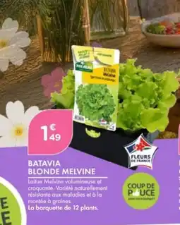 Point Vert Batavia blonde melvine offre