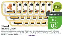 Point Vert Yock terrine chien offre