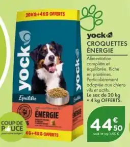 Point Vert Yock croquettes énergie offre