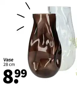Wibra Vase offre