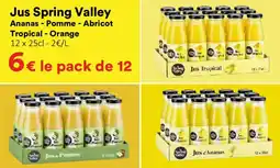 Hmarket JUS SPRING VALLEY offre