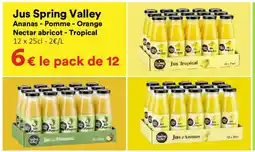 Hmarket JUS SPRING VALLEY offre