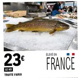 E.Leclerc Truite fario offre