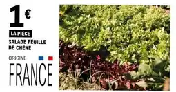 E.Leclerc Salade feuille de chêne offre
