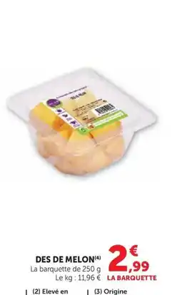 U Express Des de melon offre