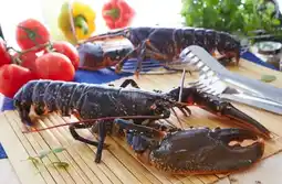 Auchan Sans marque homard européen vivant offre