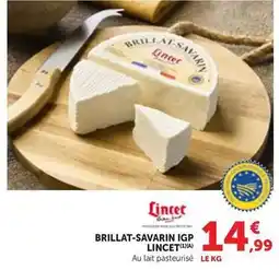 Maximarché Brillat-savarin igp offre