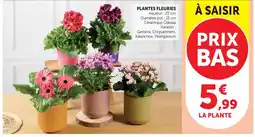 Hyper U Plantes fleuries offre