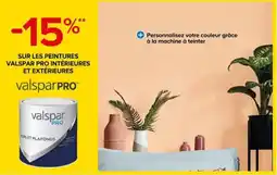 Castorama valsparPRO PEINTURES INTÉRIEURES ET EXTÉRIEURES offre