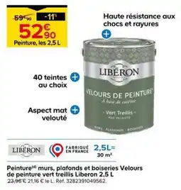 Castorama Liberon Peinture Velours de peinture vert treillis offre