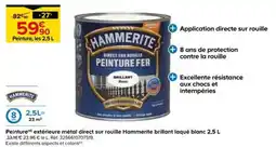 Castorama Hammerite Peinture Fer offre