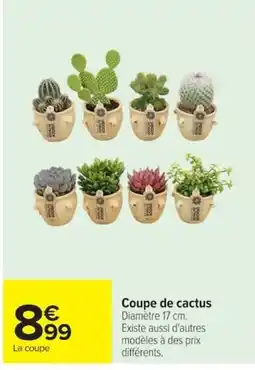 Carrefour Coupe de cactus offre