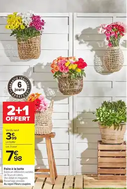 Carrefour Fleurs coupées offre