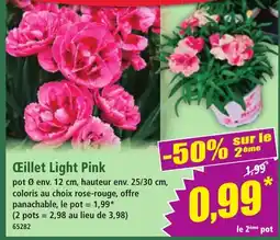 Norma Œillet Light Pink offre