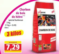 Norma gril gourmet Charbon de bois offre