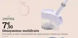 Espace emeraude LE PRATIQUE Dénoyauteurs multifruits offre
