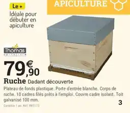Espace emeraude Thomas Ruche Dadant découverte offre