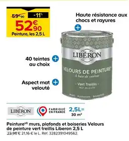 Castorama Liberon velours de peinture vert treillis offre