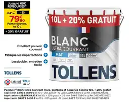 Castorama Tollens peinture blanc ultra couvrant mat offre