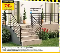 Castorama Pack garde-corps à plat cala anthracite (ral 9005) offre