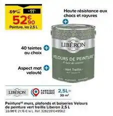 Castorama Libéron - peinture murs, plafonds et boiseries velours de peinture vert treillis offre