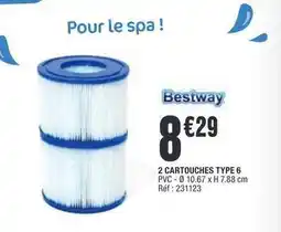 La Foir'Fouille Bestway - 2 cartouches type 6 offre