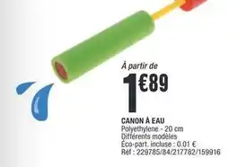 La Foir'Fouille Canon - à eau offre