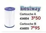 Irrijardin Bestway - cartouche a 434854 offre