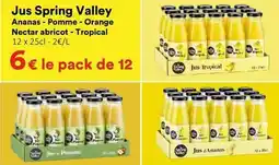 Hmarket Orange - jus spring valley offre