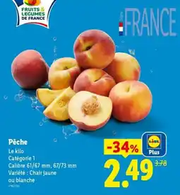 Lidl Pêche offre