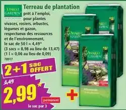 Norma Plantation - terreau de offre