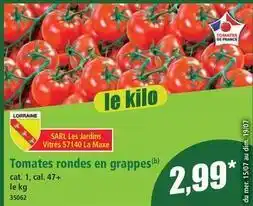 Norma Cat - tomates rondes en grappes offre