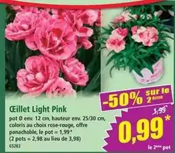 Norma Ceillet light pink offre