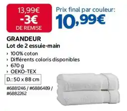 Costco Oeko-tex - lot de 2 essuie-main offre