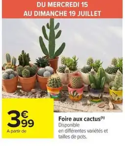 Carrefour Market Foire aux cactus offre