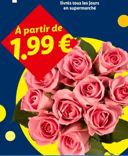 Lidl Roses offre