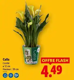 Lidl Calla offre