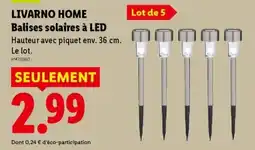 Lidl LIVARNO HOME Balises solaires à LED offre