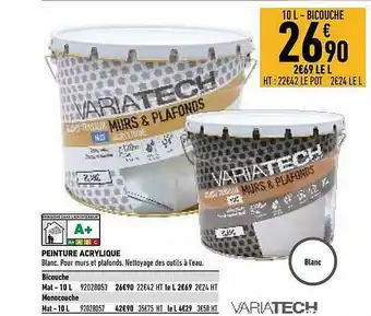 Brico Cash Peinture Acrylique offre