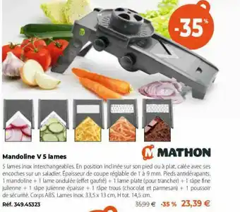 Mathon Mandoline V 5 Lames Mathon offre