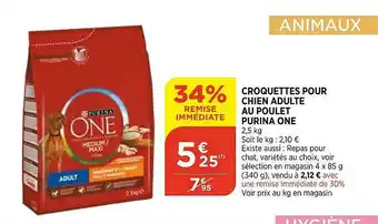 Maximarché Croquettes Pour Chien Adulte Au Poulet Purina One offre